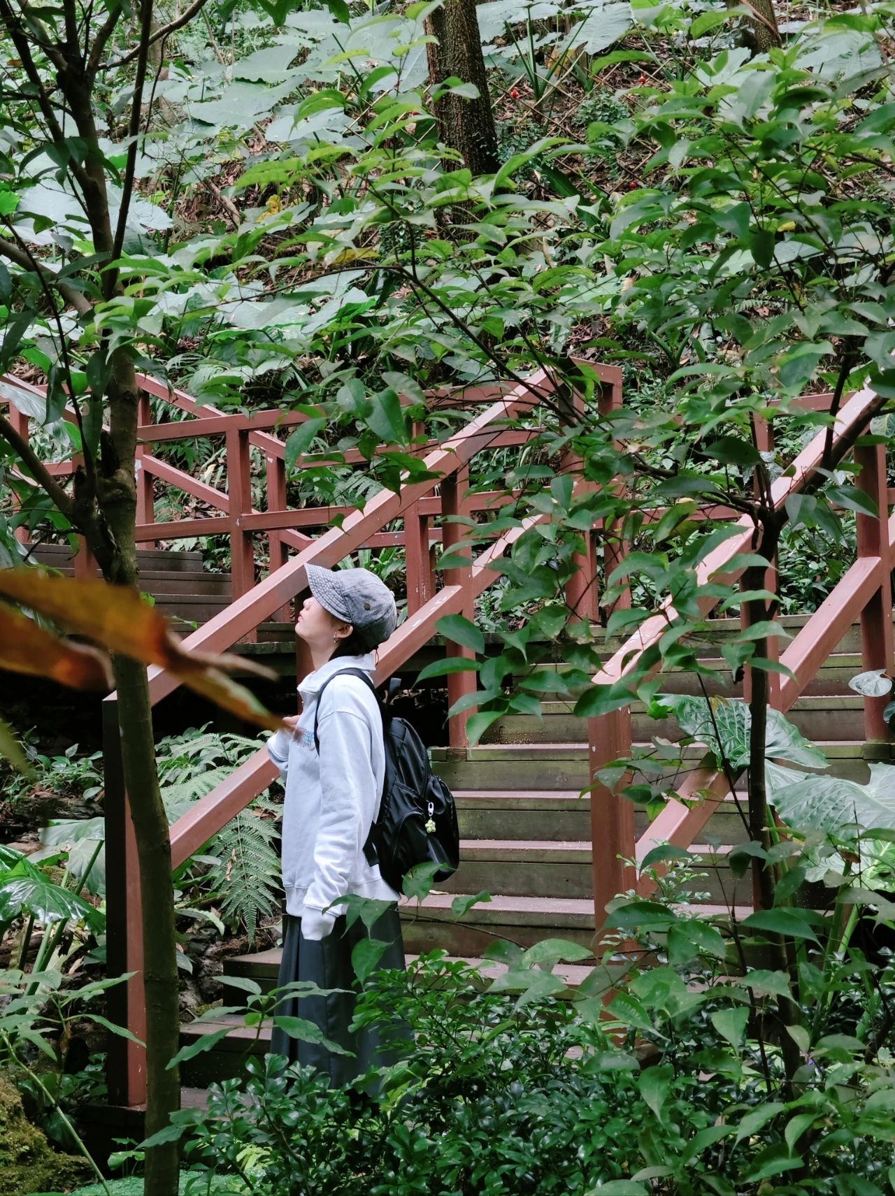 Xianhu Botanical Garden - Chicory Moss Garden