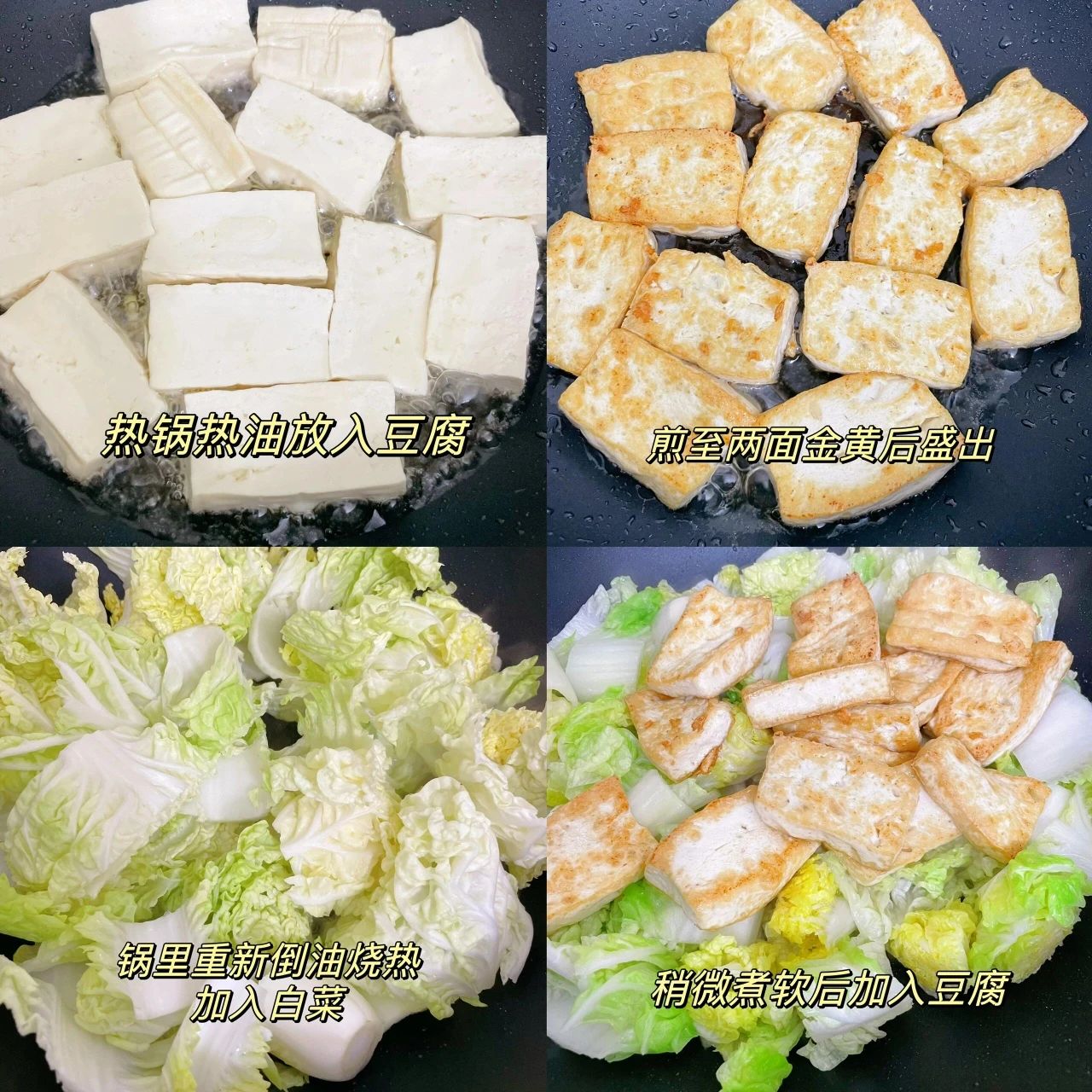 cabbage and tofu