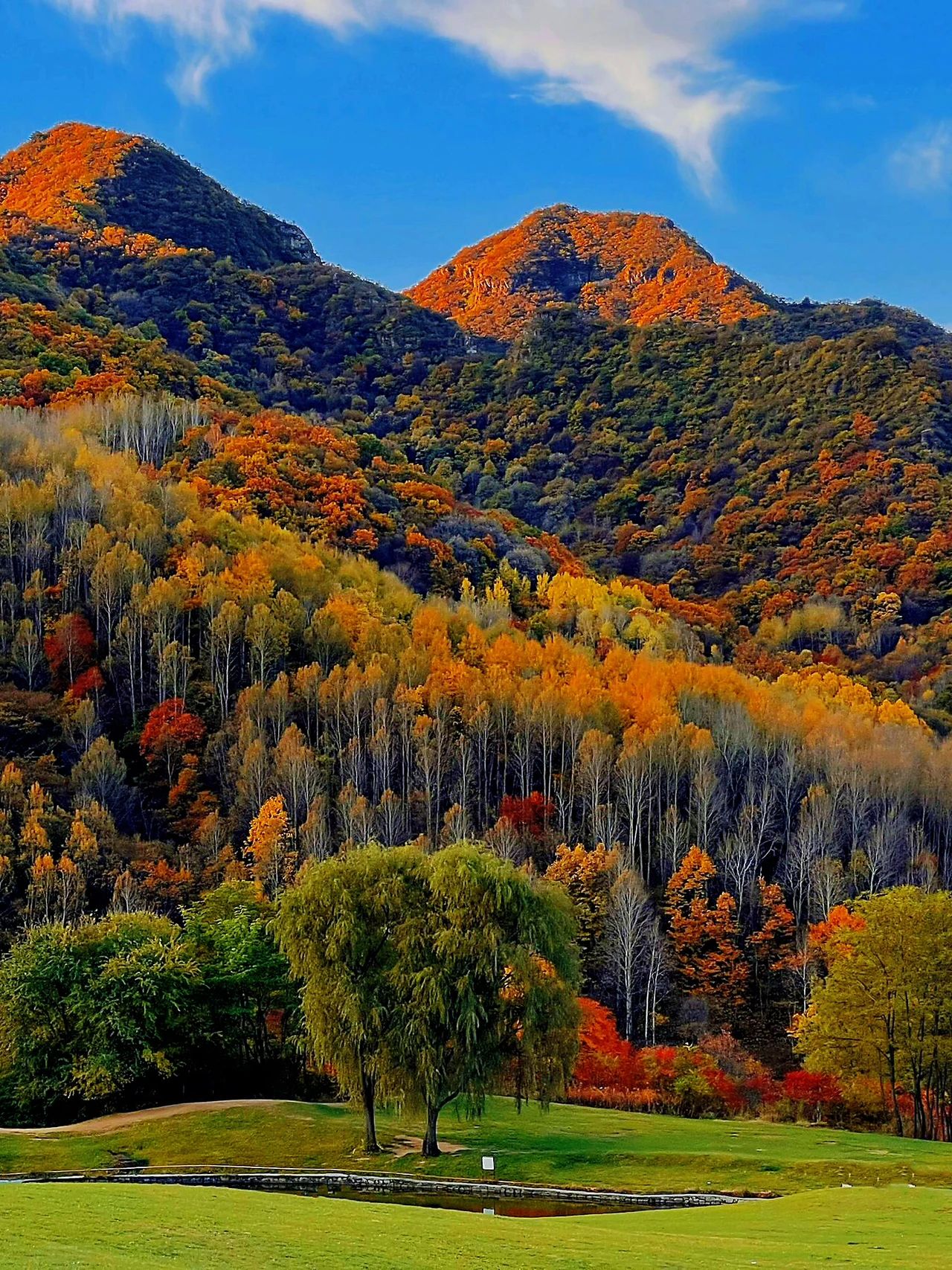 Beijing's Autumn Colors Arrive Early, It's Time to Explore Yudu Mountain ❗️