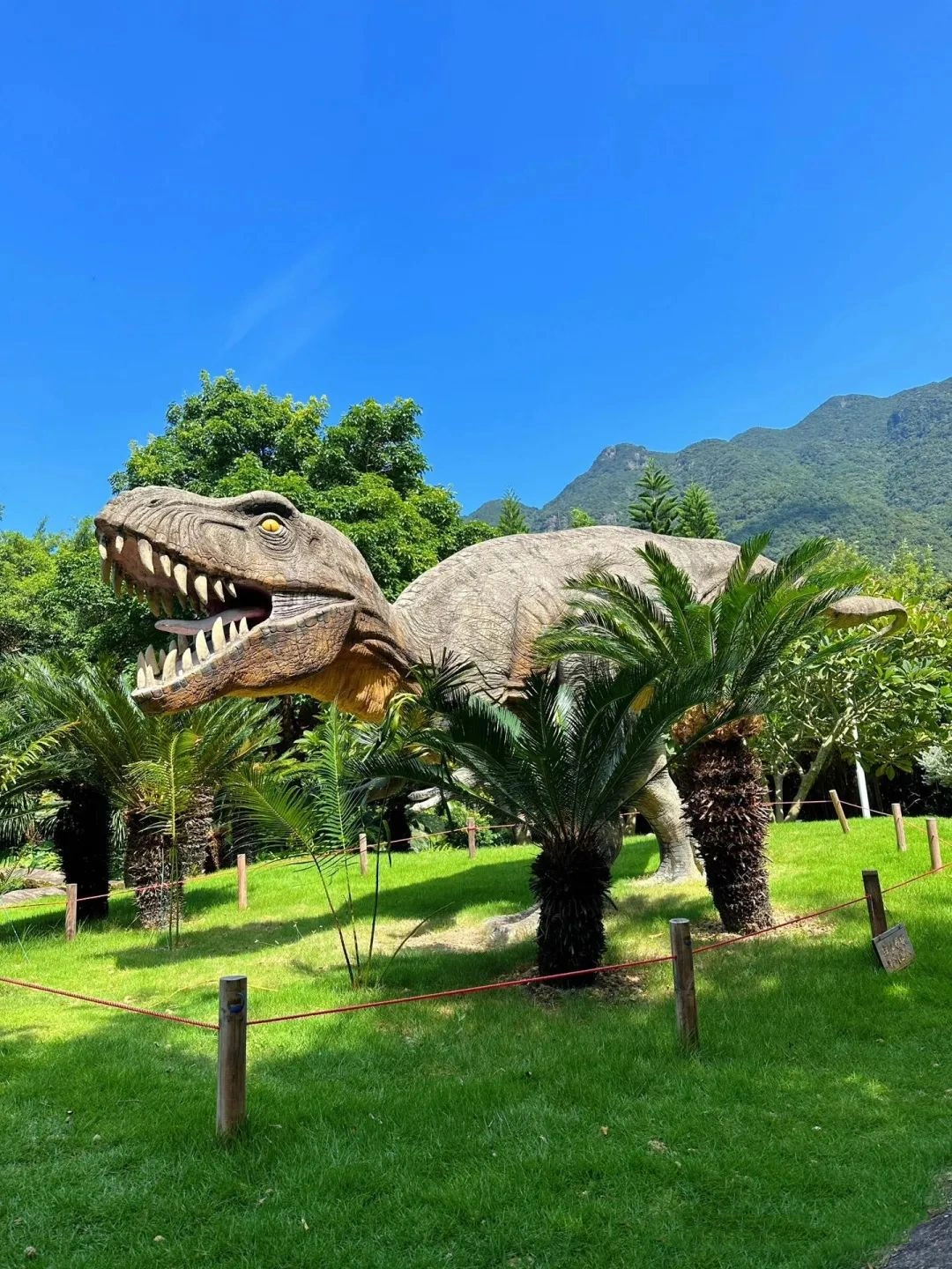 Dapeng National Geological Museum