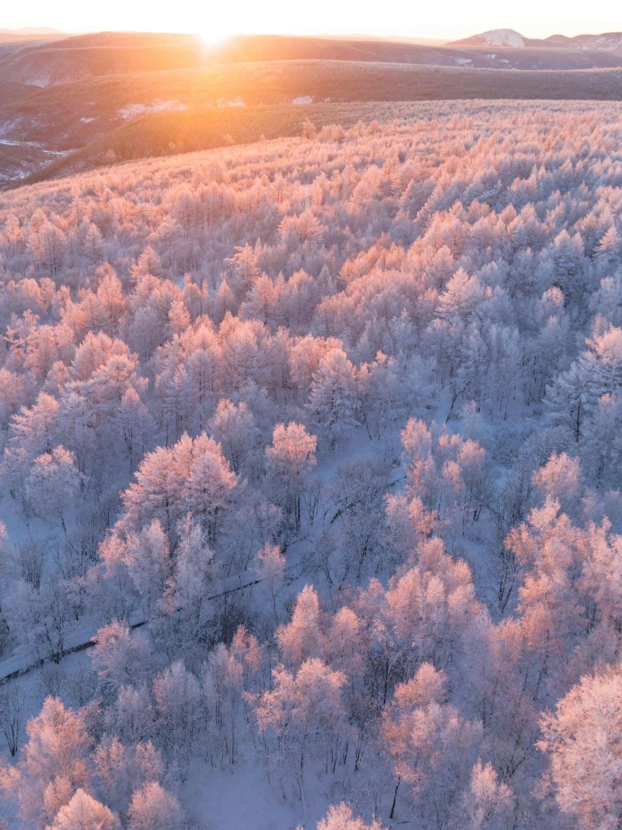 Freezing fog in Arshan