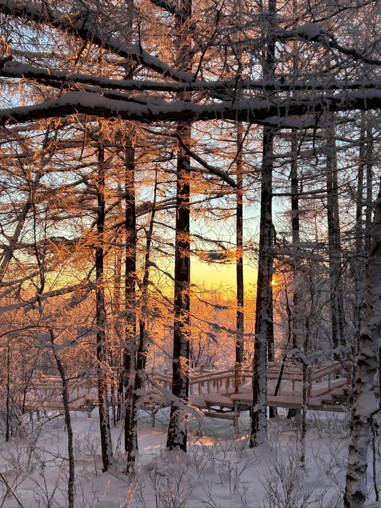 Freezing fog in Arshan