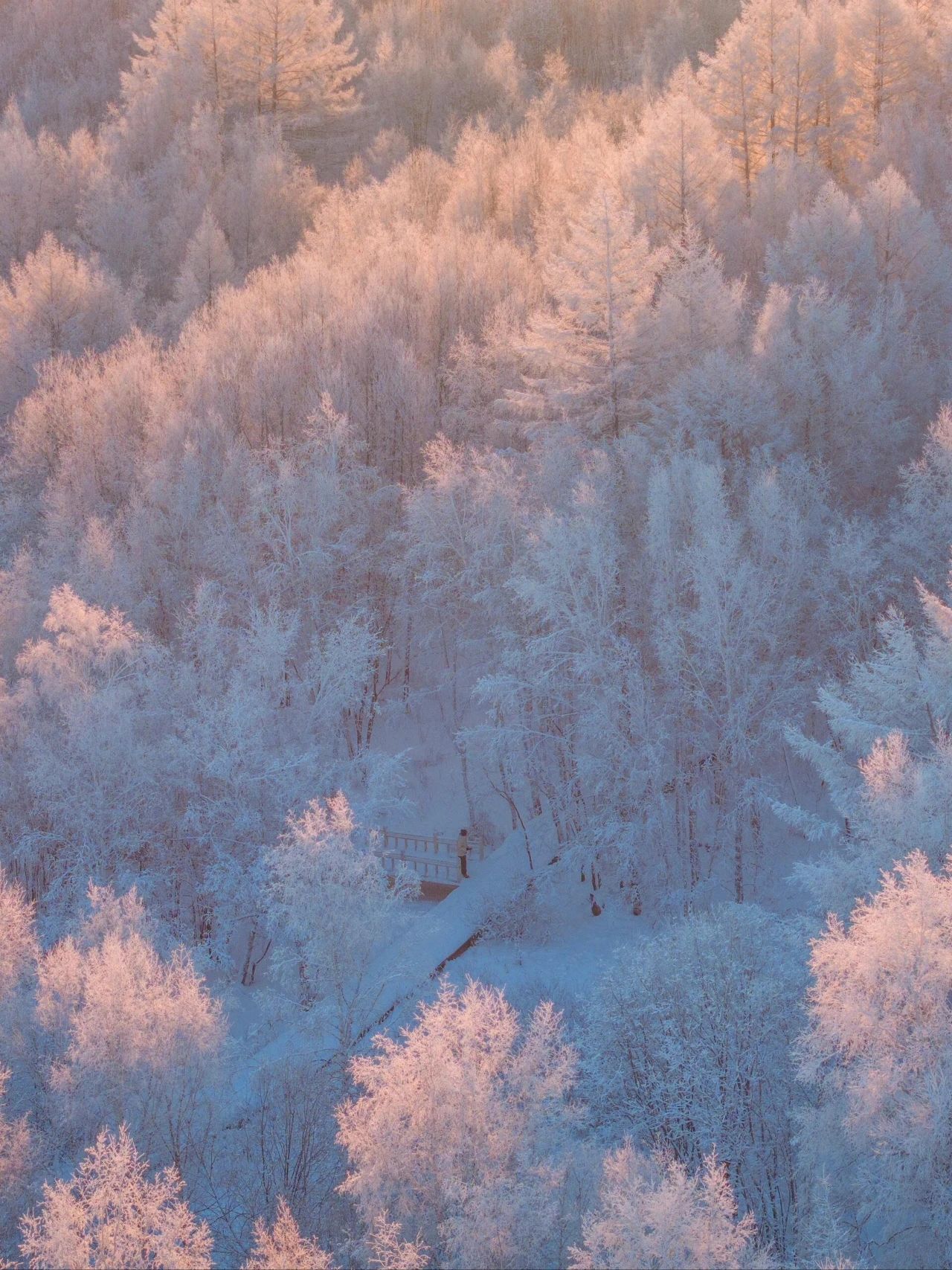 Freezing fog in Arshan