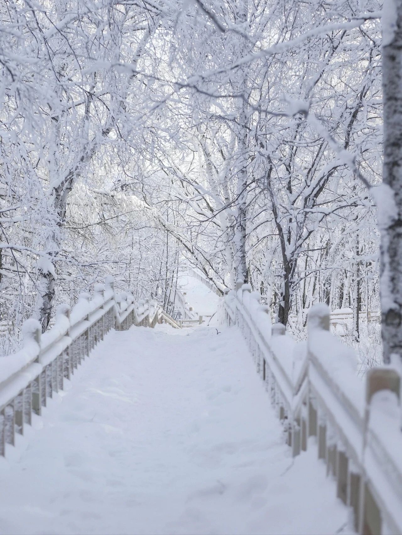 Freezing fog in Arshan