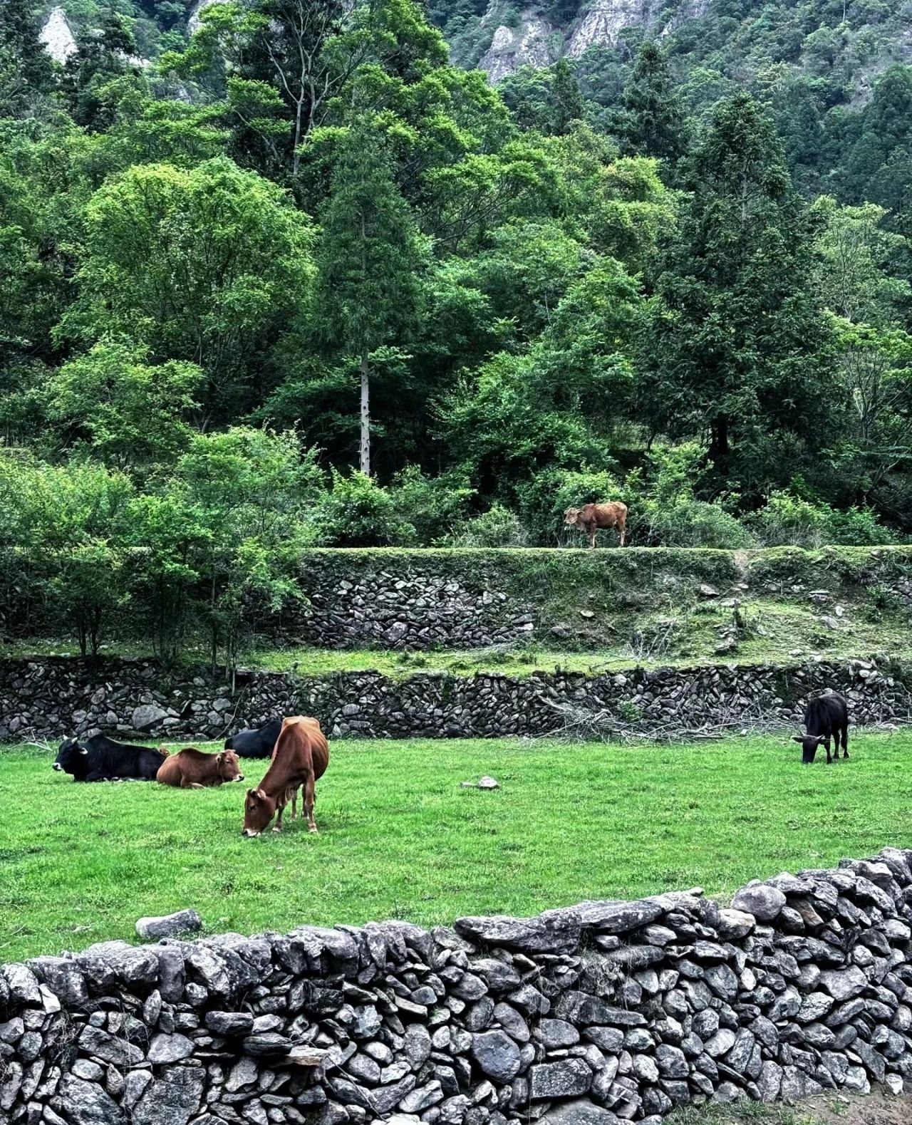 Hidden stone village in the valley - Huangtan Cave