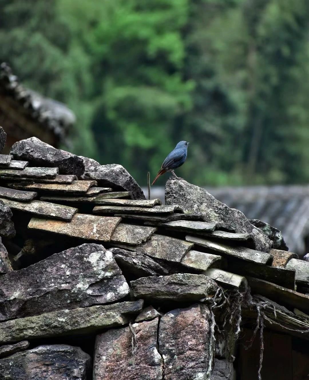 Hidden stone village in the valley - Huangtan Cave