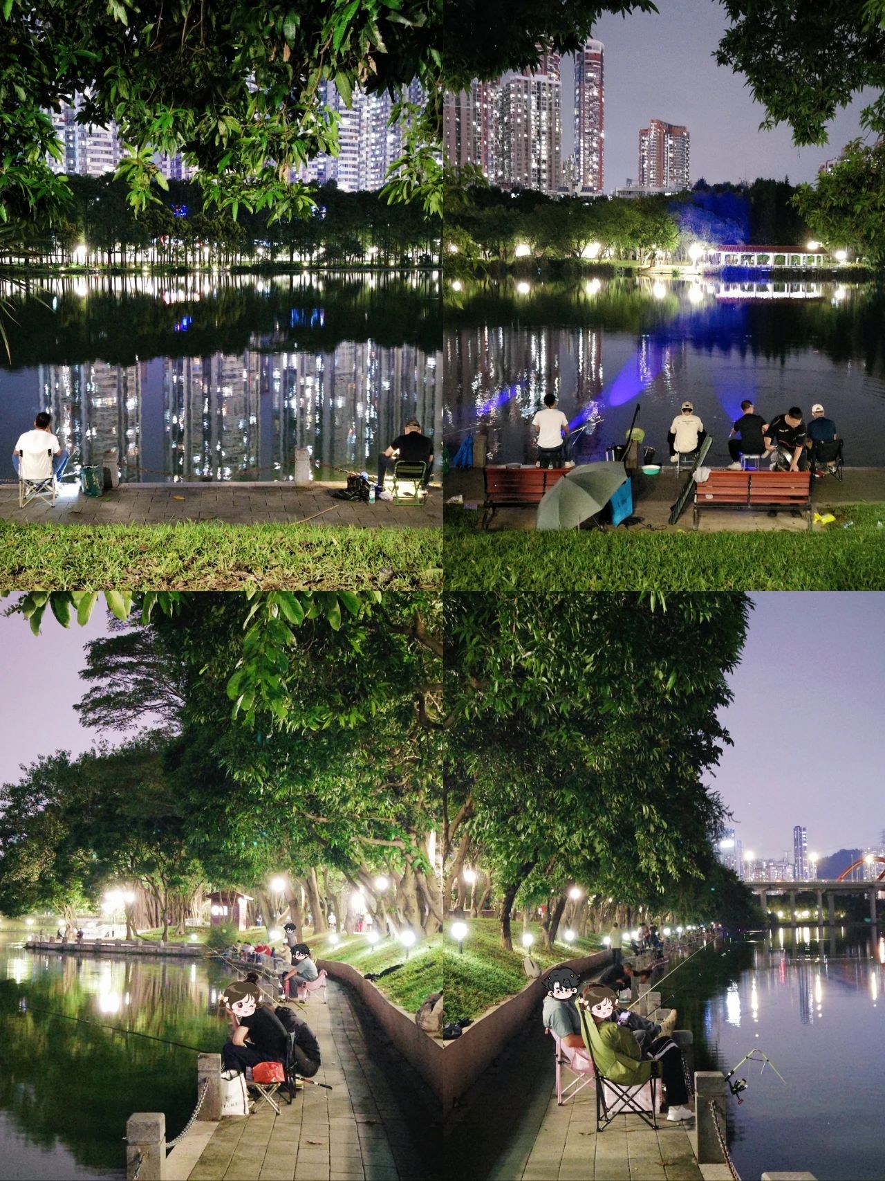 Metro Direct Access ❗ Hidden Treasure Fishing Spot in Shenzhen CBD