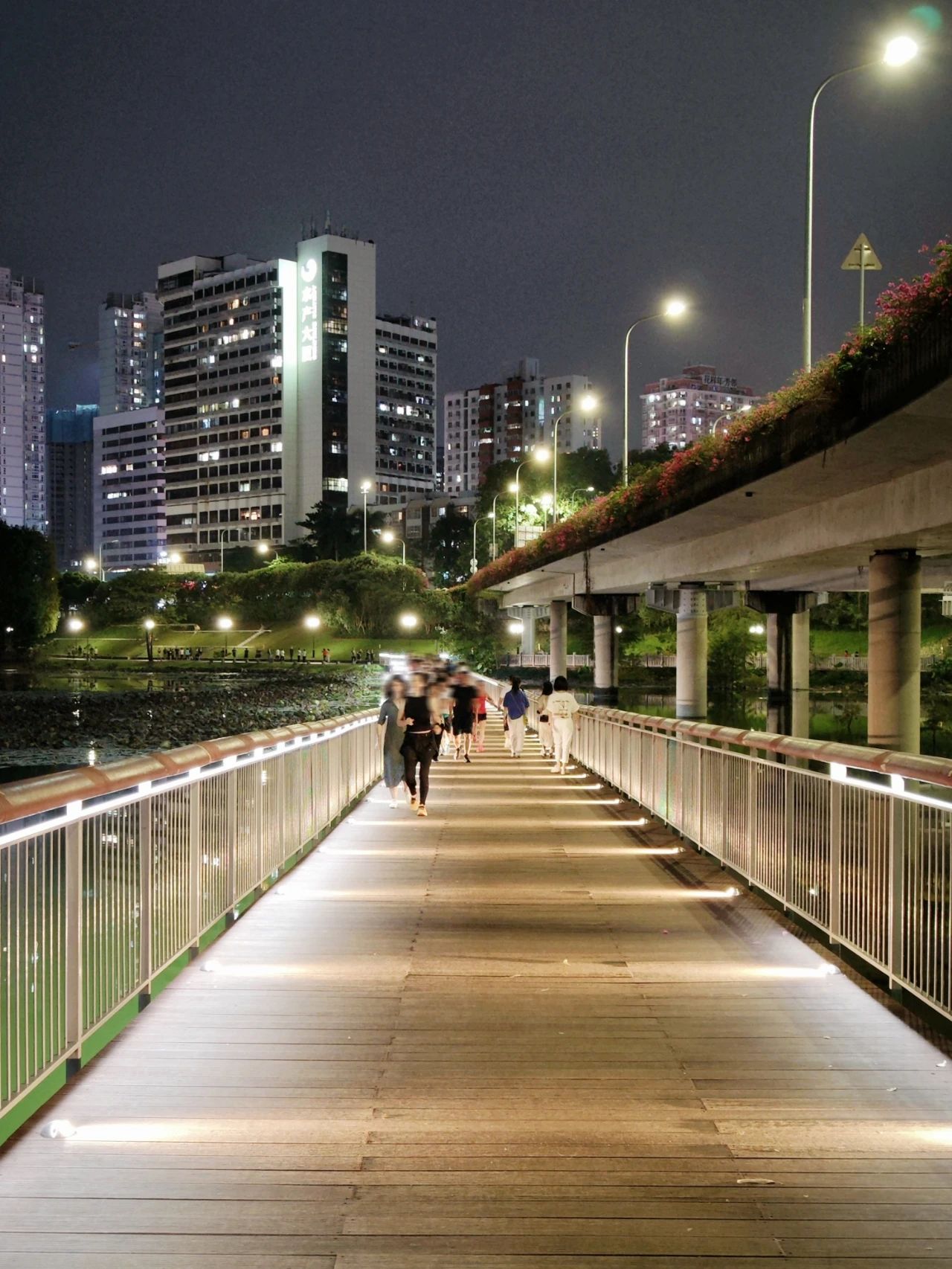 Hidden Treasure Fishing Spot in Shenzhen CBD