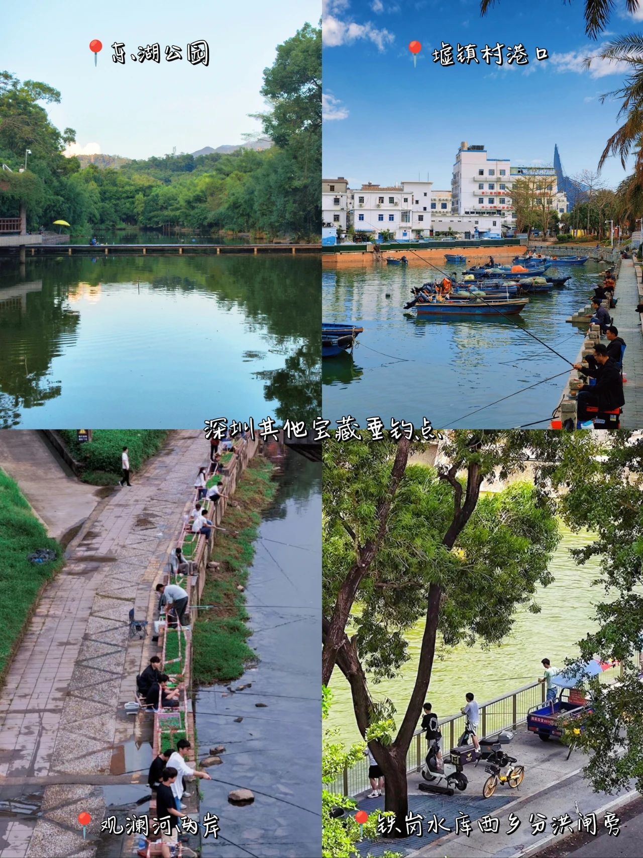 Hidden Treasure Fishing Spot in Shenzhen CBD