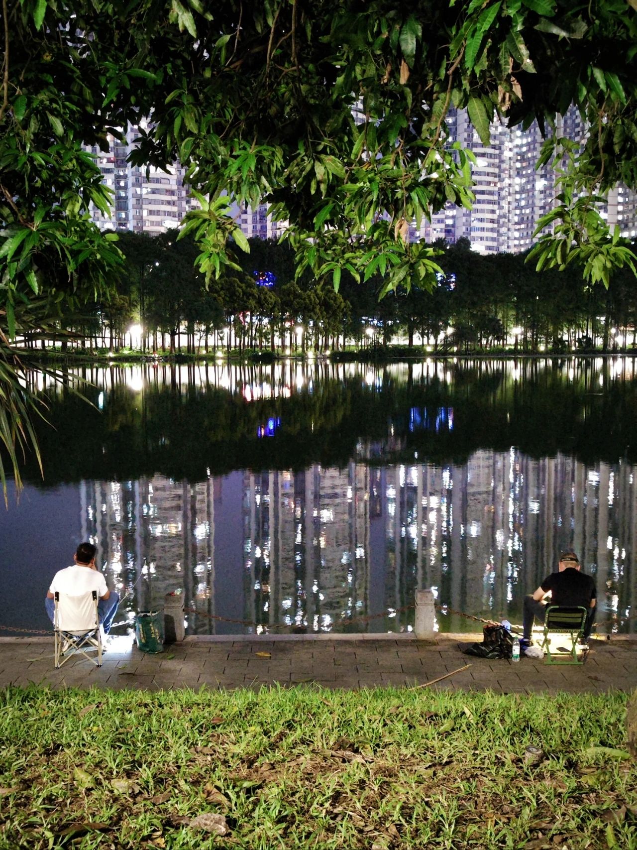 Hidden Treasure Fishing Spot in Shenzhen CBD