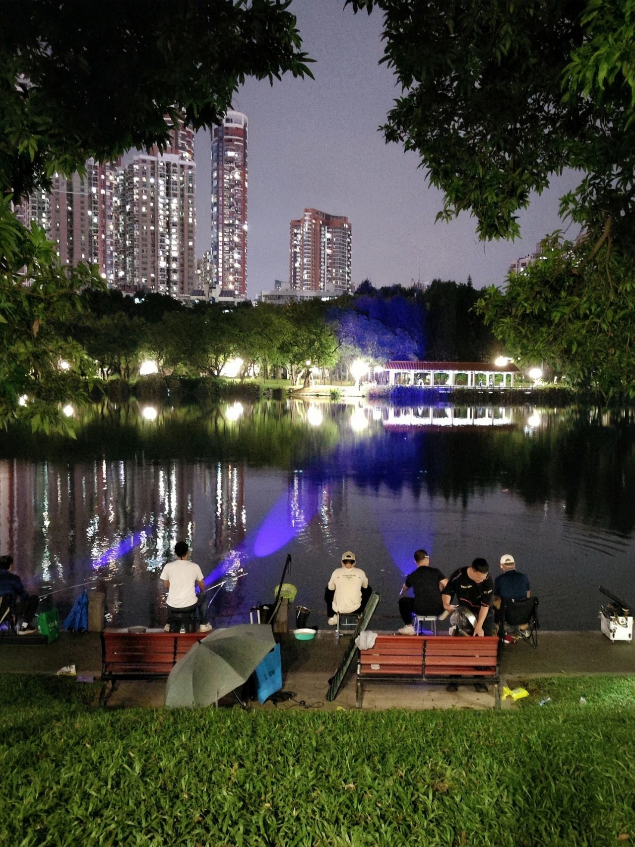 Hidden Treasure Fishing Spot in Shenzhen CBD