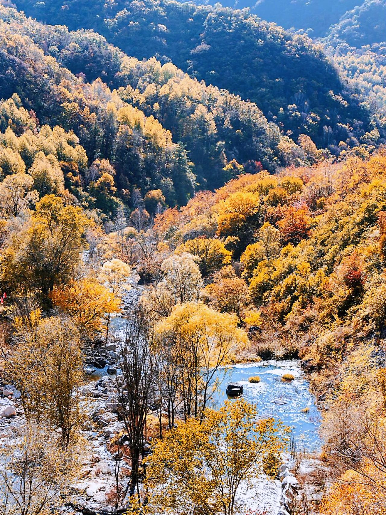 🍁Layered forest of Yudu Mountain, miss it and wait for a year!