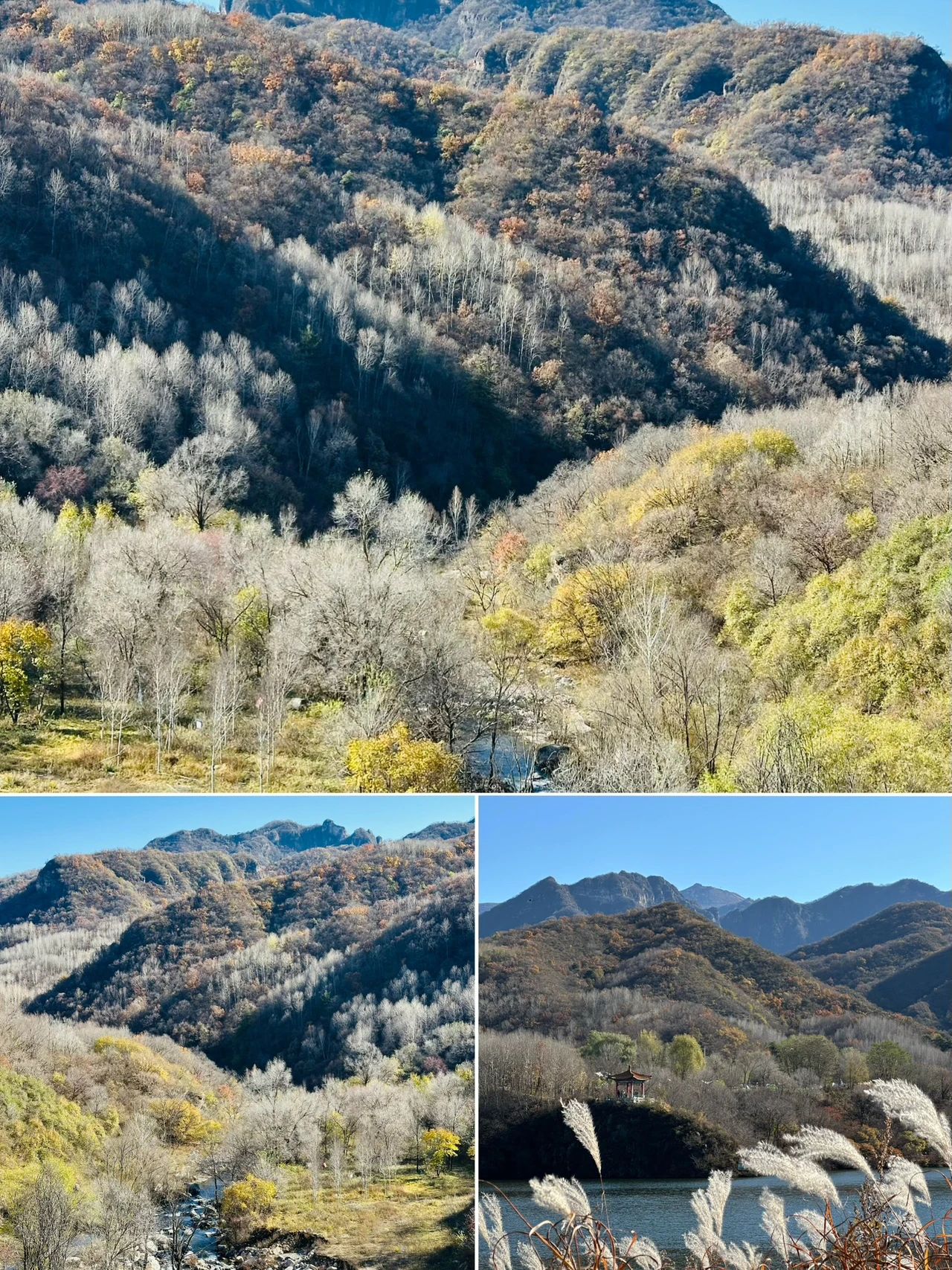 Layered forest of Yudu Mountain