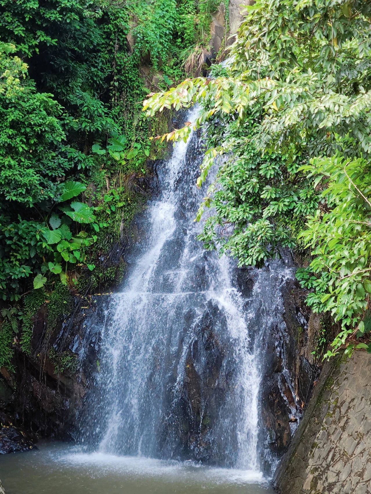 Niche Treasure Waterfall Park