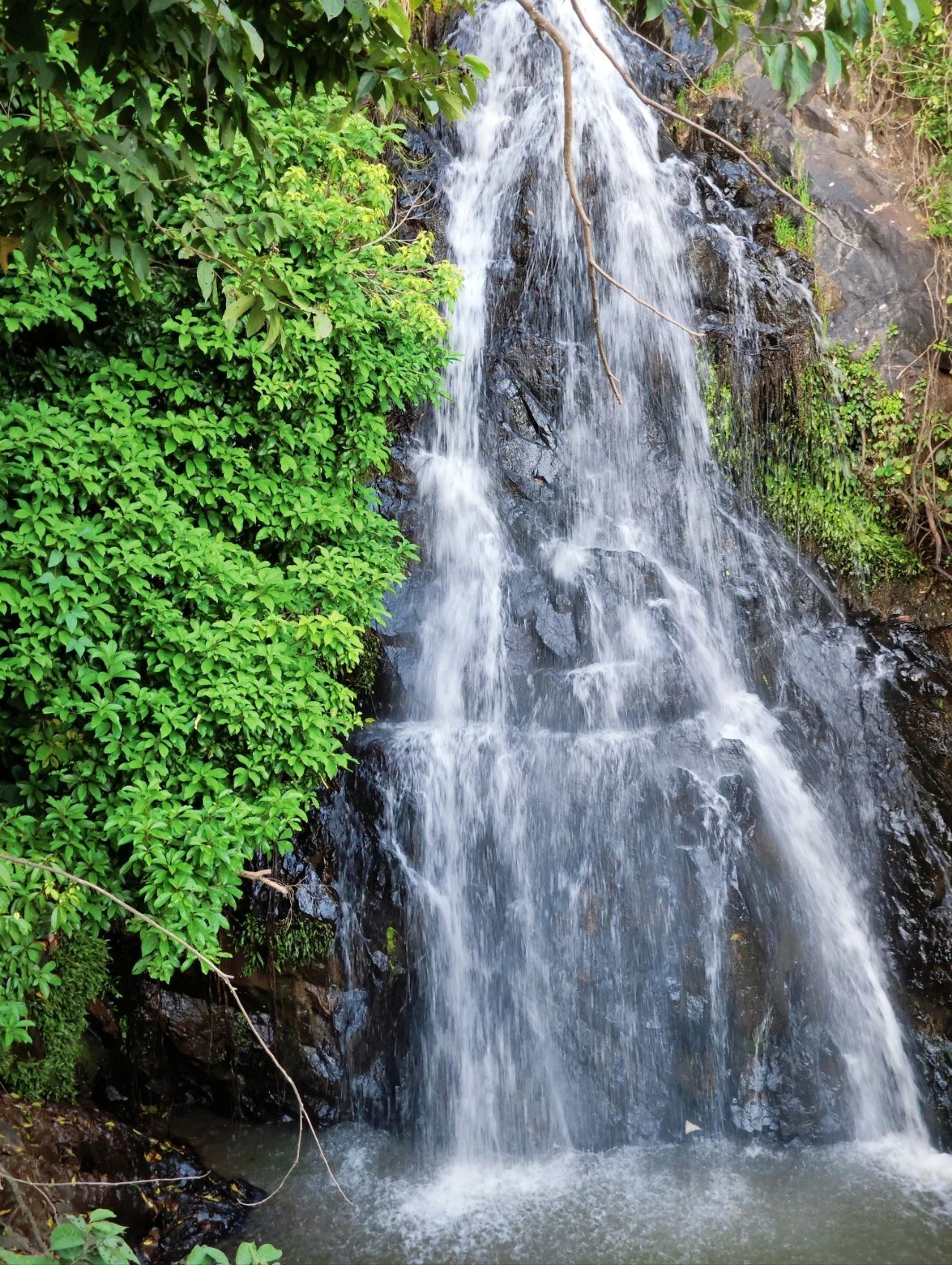 Niche Treasure Waterfall Park