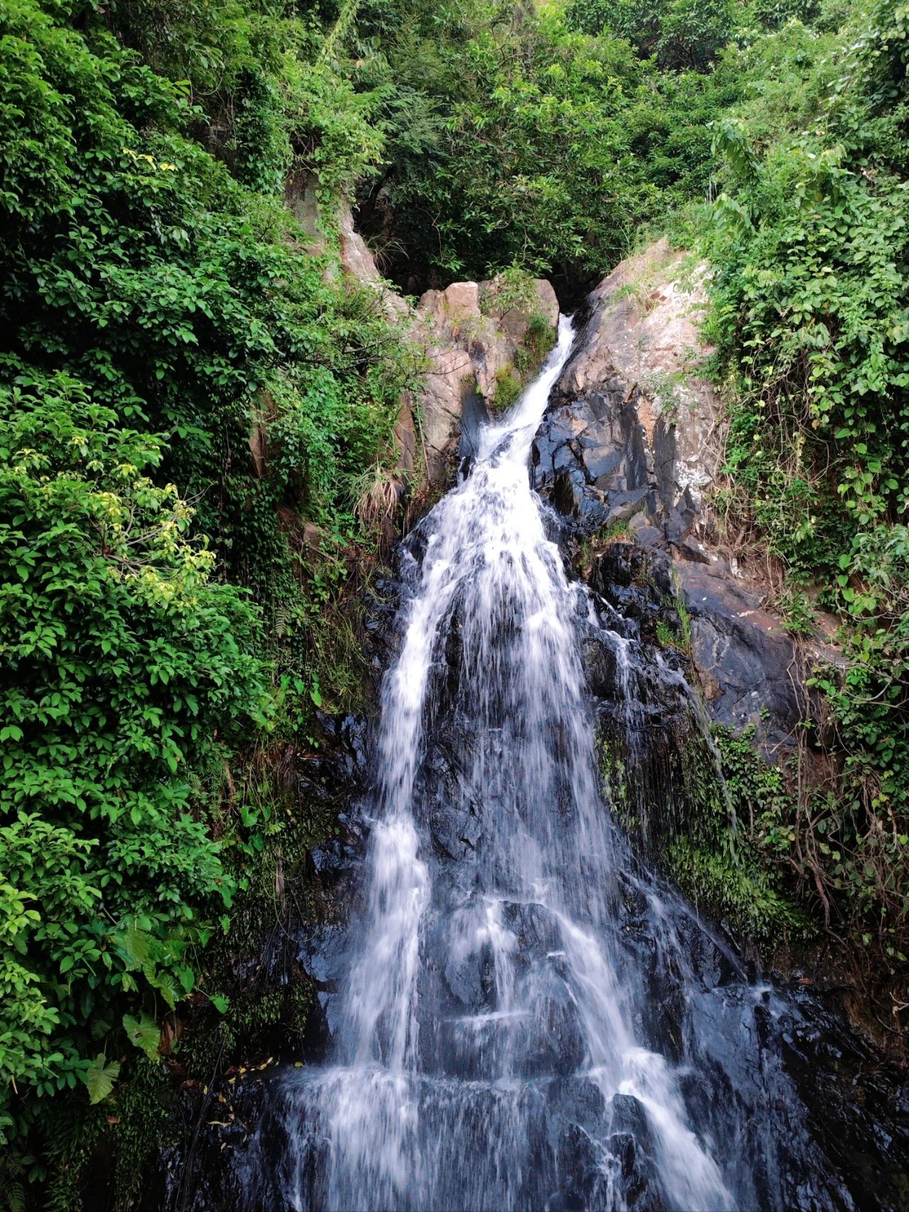 Niche Treasure Waterfall Park