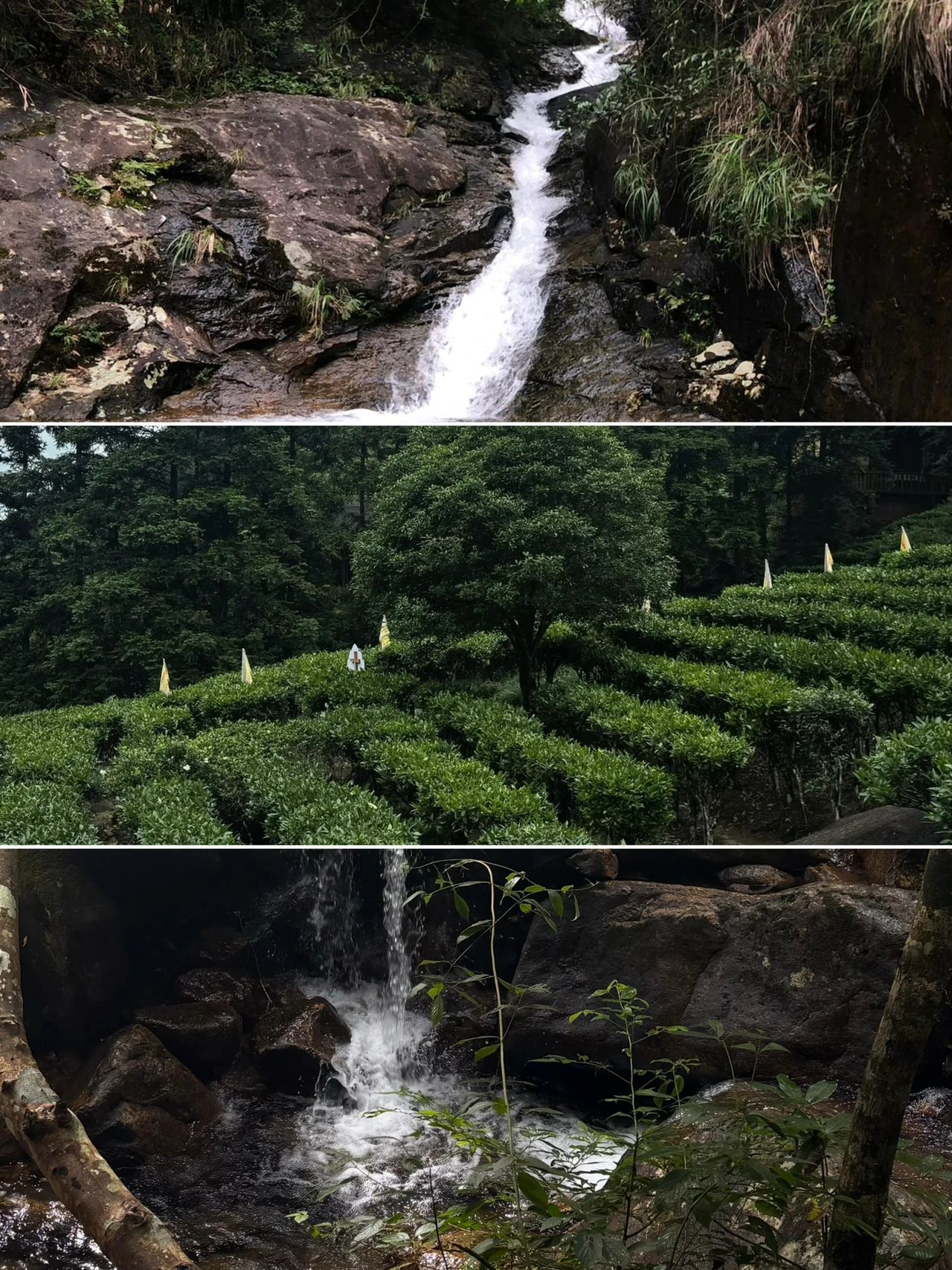 Gupo Mountain, Hezhou, Guangxi, China