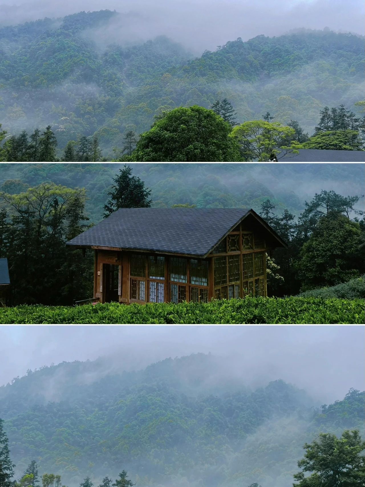 Gupo Mountain, Hezhou, Guangxi, China