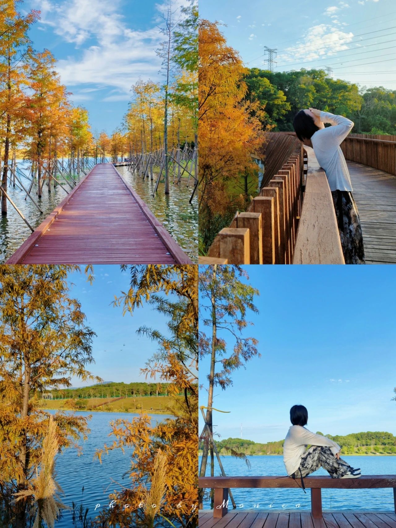 Shenzhen newly opened wetland park, lakeside trestle photo good absolute ‼️