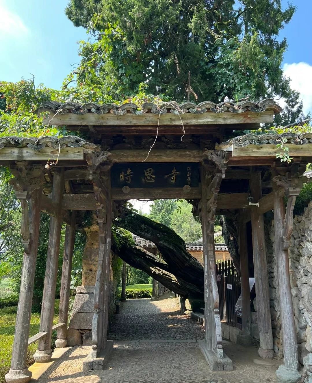 Shisi Temple, a thousand-year-old temple with a profound and simple atmosphere