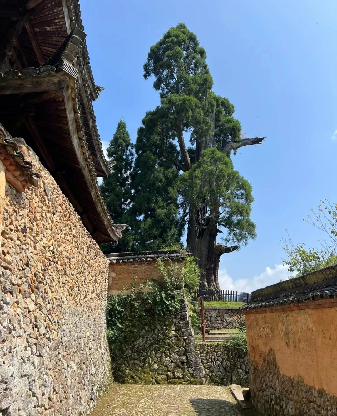 Shisi Temple, a thousand-year-old temple with a profound and simple atmosphere