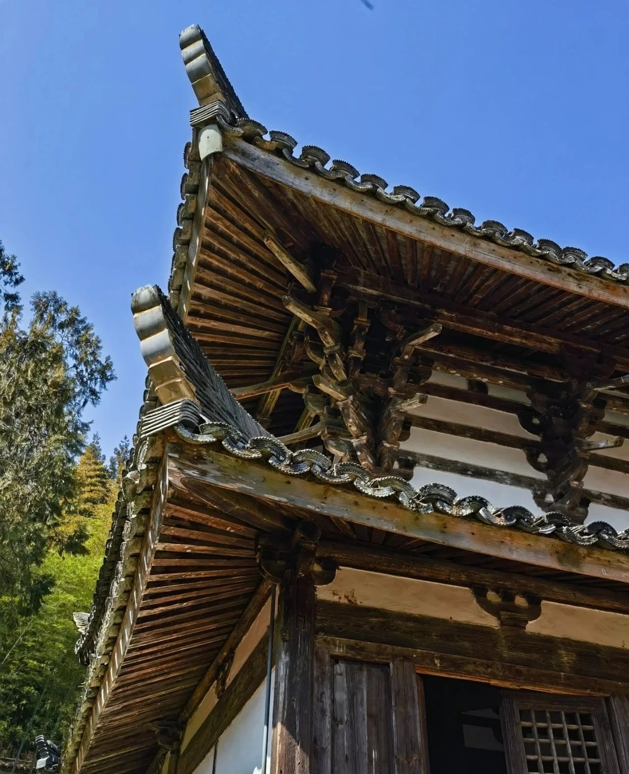 Shisi Temple, a thousand-year-old temple with a profound and simple atmosphere