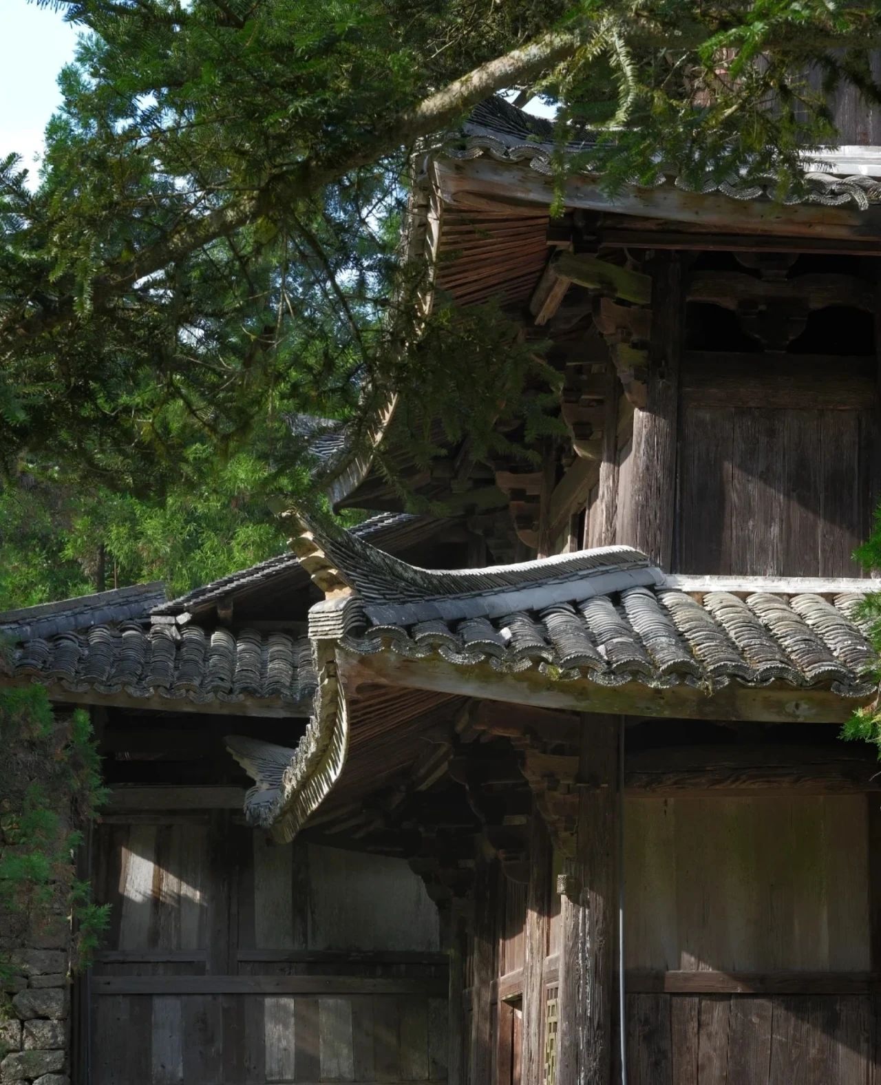 Shisi Temple, a thousand-year-old temple with a profound and simple atmosphere