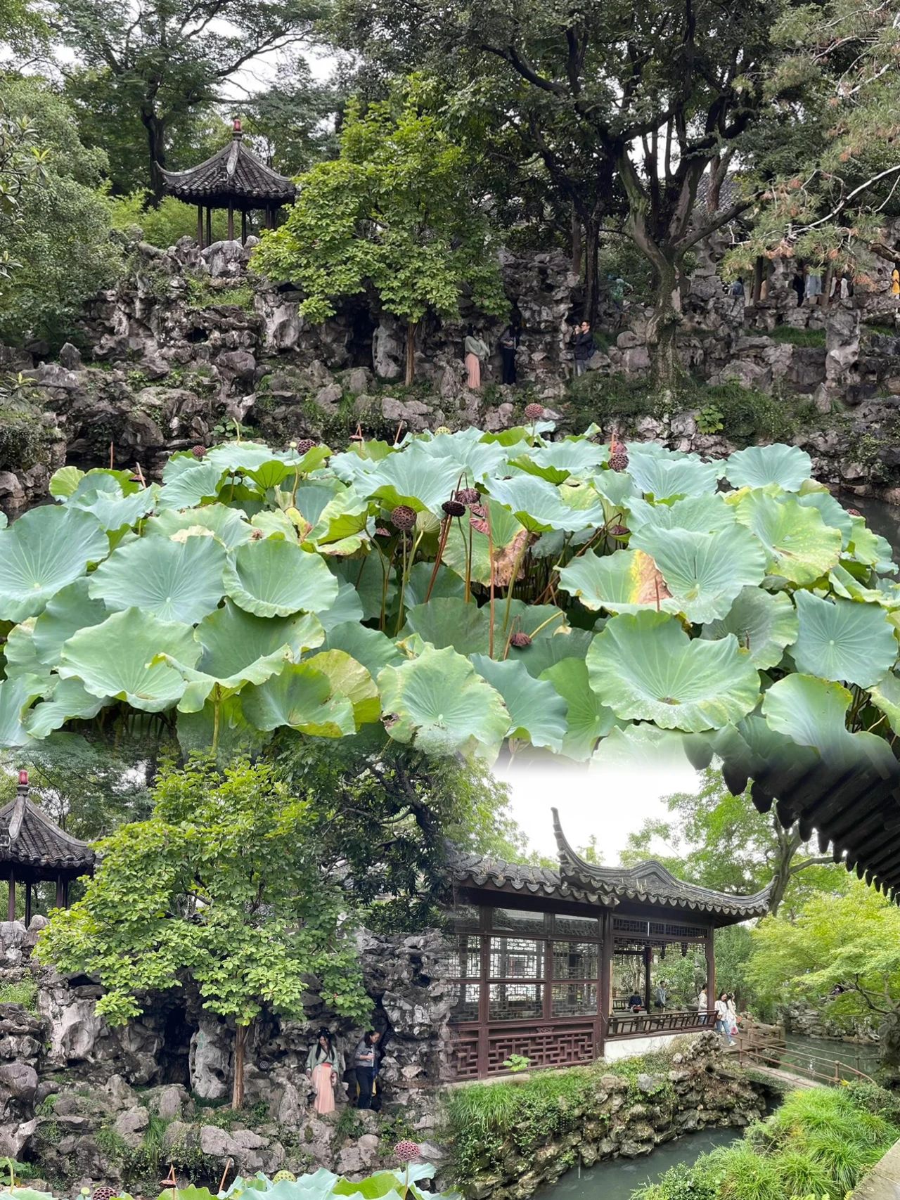 Suzhou Yiyuan misses waiting a year