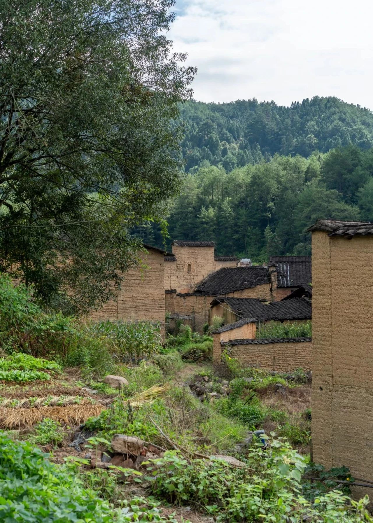 Time is quiet, time is long--Former Fenxi Village