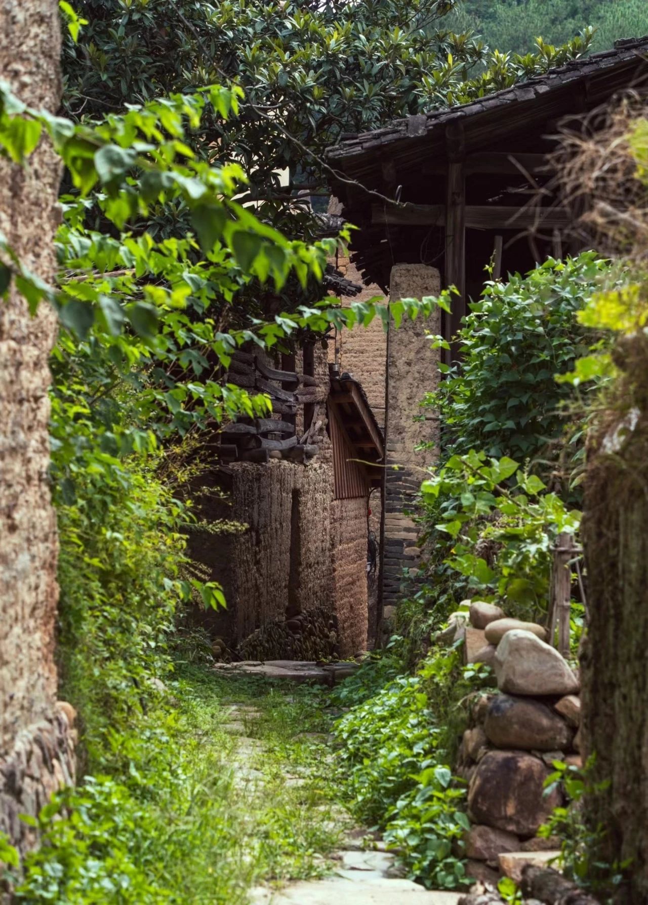 Time is quiet, time is long--Former Fenxi Village