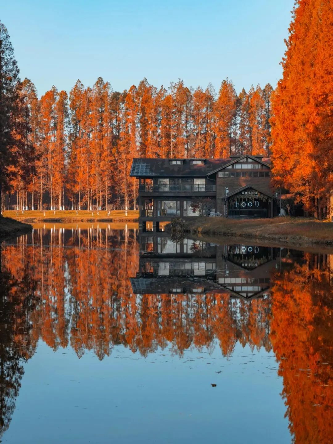 the Huanghai Forest Park in Dongtai, Yancheng, Jiangsu Province