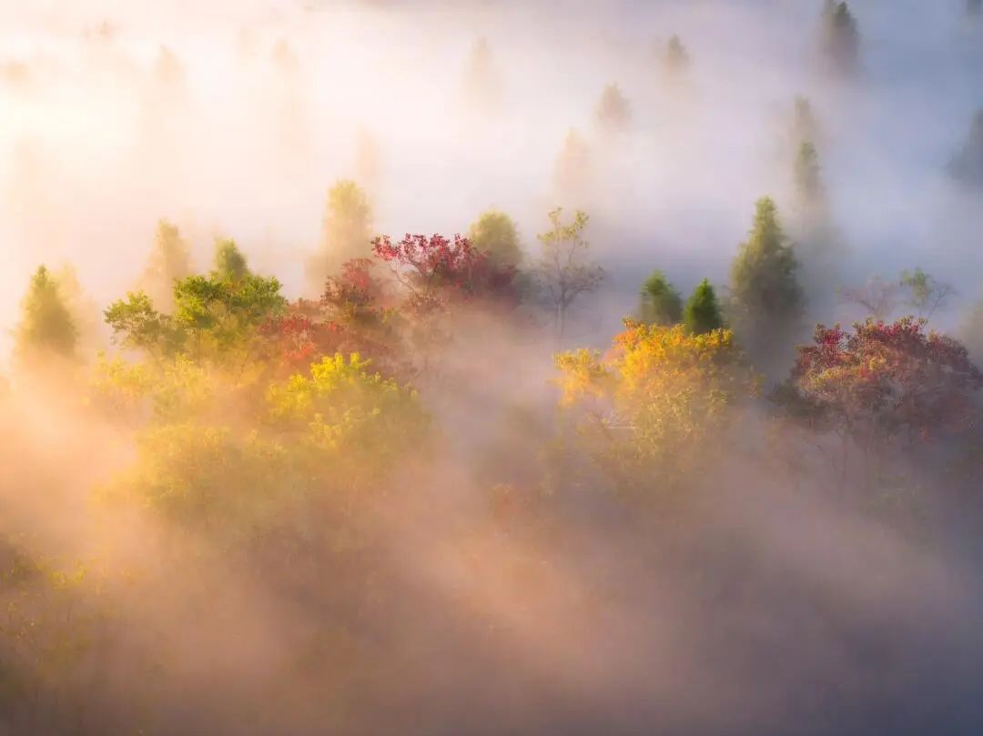 the Huanghai Forest Park in Dongtai, Yancheng, Jiangsu Province