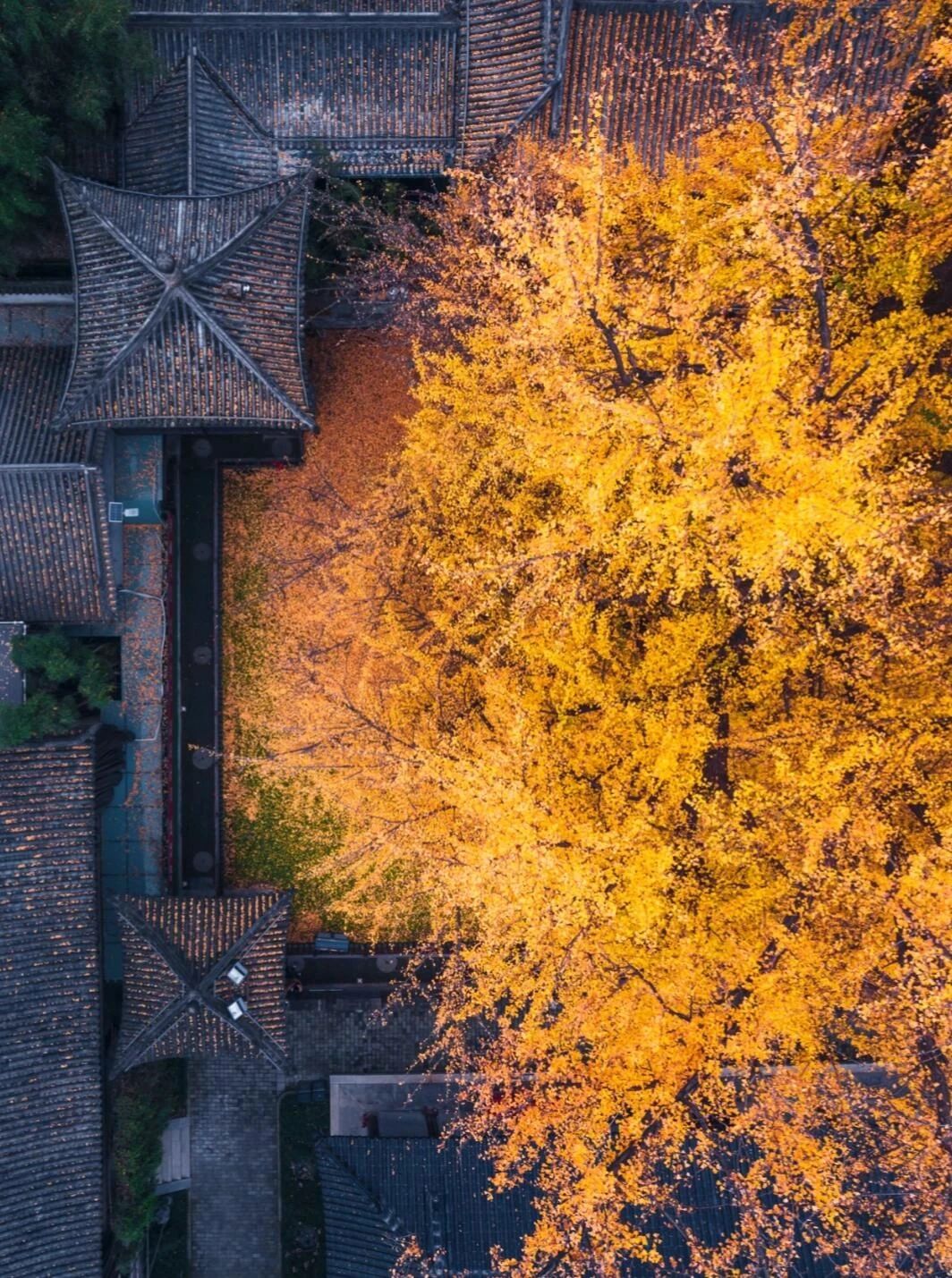 Ancient Guanyin Temple