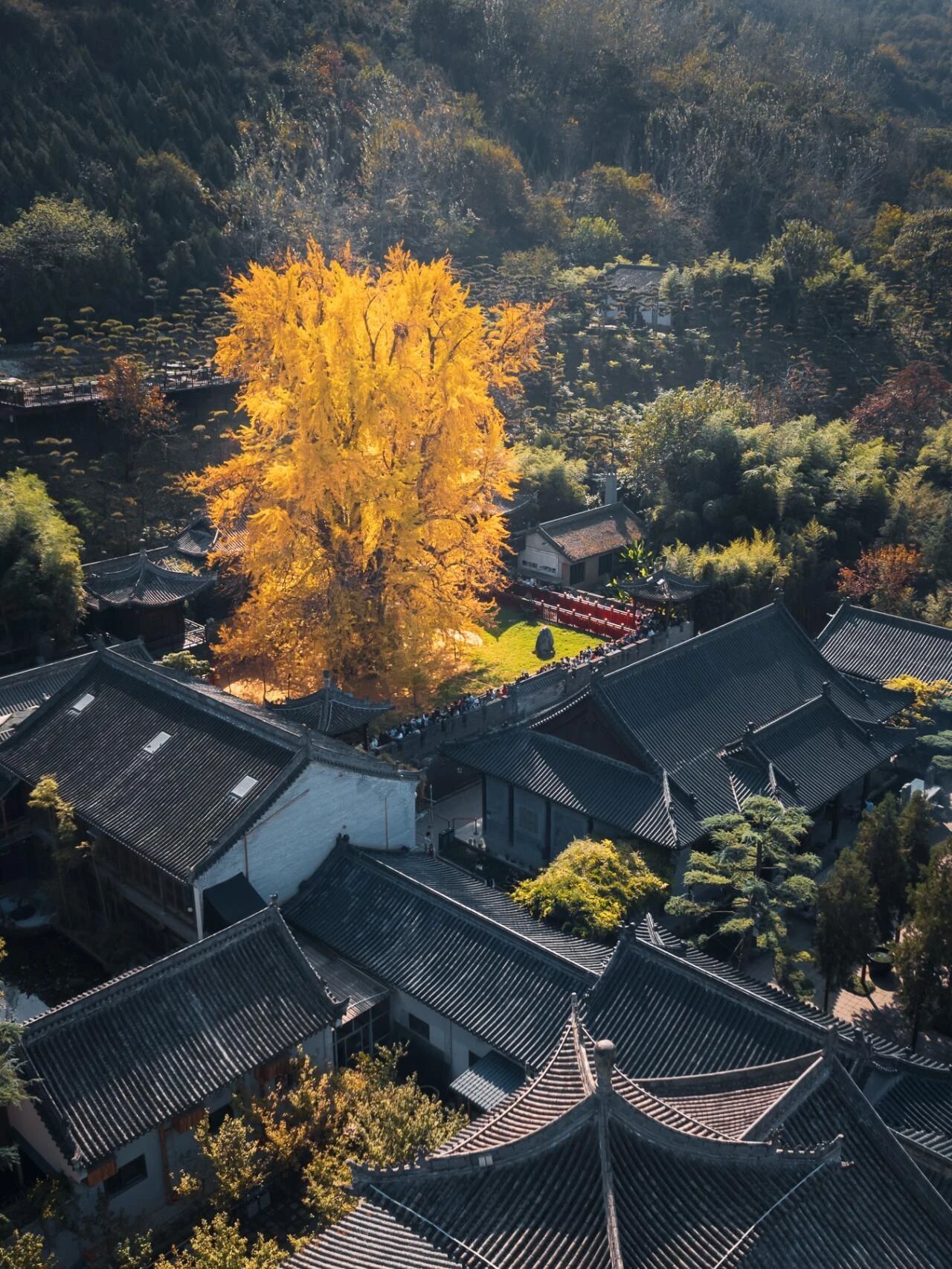 Ancient Guanyin Temple