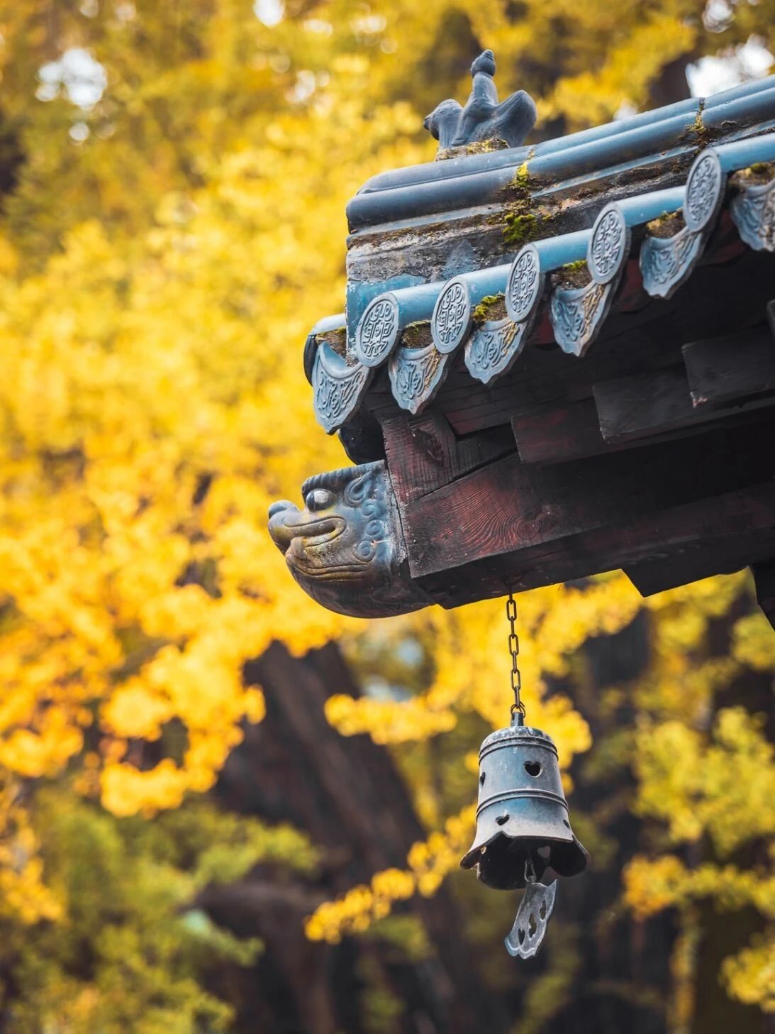 Ancient Guanyin Temple