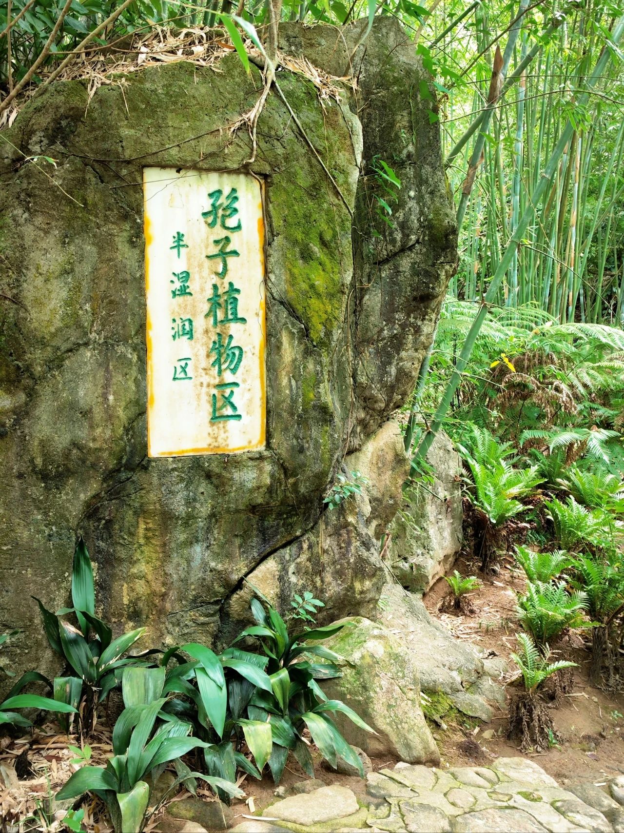 Xianhu Botanical Garden's Hidden Hitting Spots