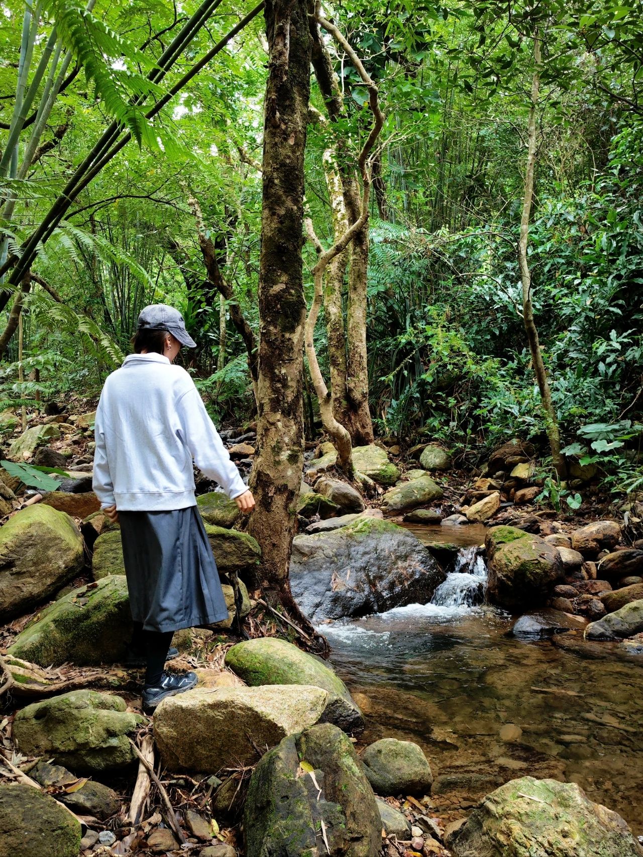 Xianhu Botanical Garden's Hidden Hitting Spots