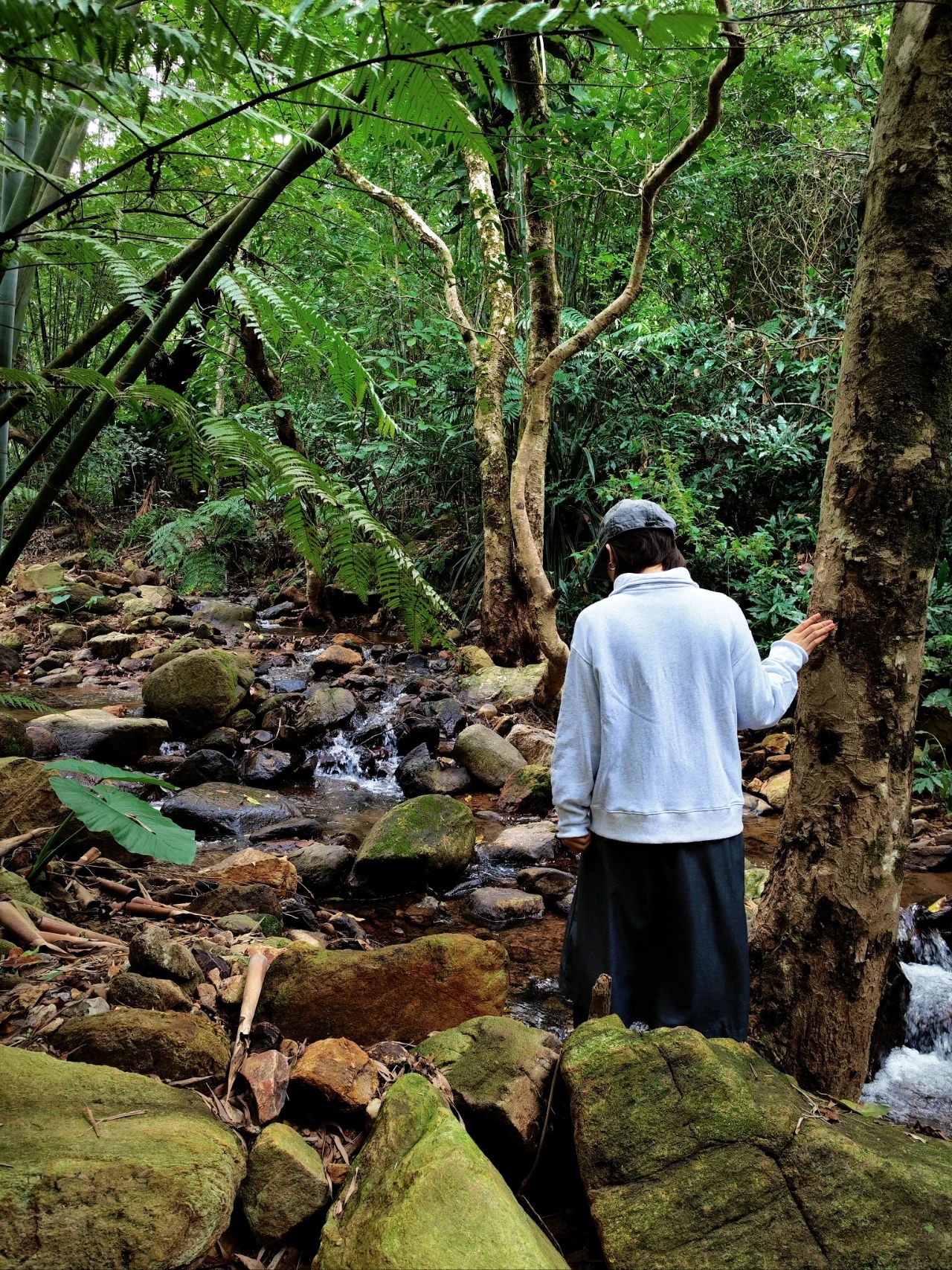 Xianhu Botanical Garden's Hidden Hitting Spots