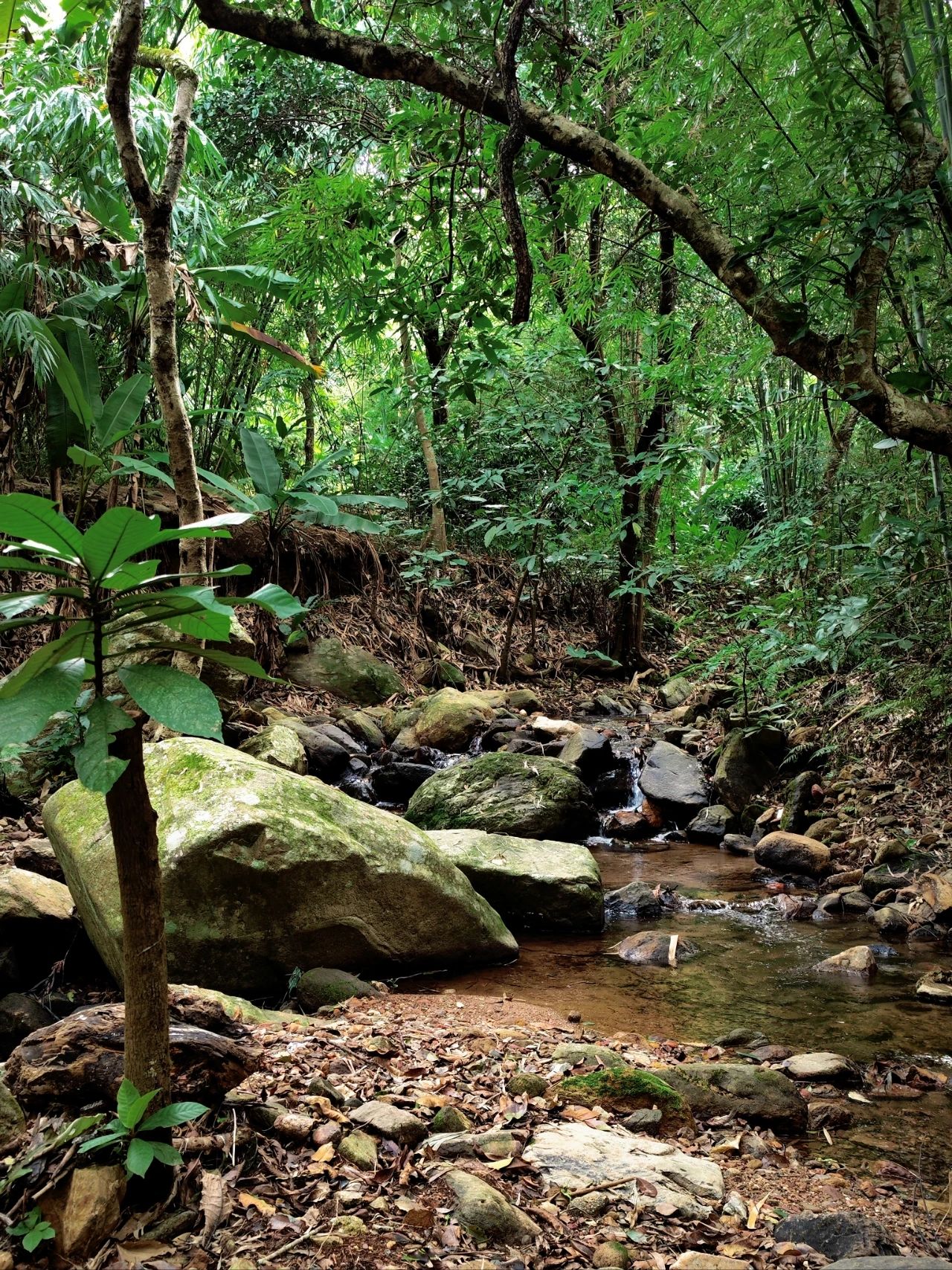 Xianhu Botanical Garden's Hidden Hitting Spots